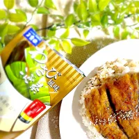 🐟鰯蒲焼き🐟| U・x・Uchokoさん