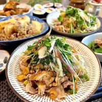 豚しゃぶサラダ🥗🐷|ラゴさん。さん