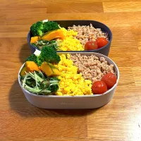 そぼろ弁当|ととねねさん