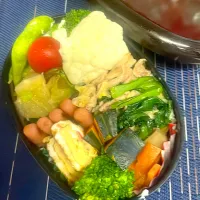 Jk弁当🍱春キャベツ＆小松菜🥬豚肉炒め|ティーダさん