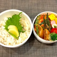 高校生息子のお弁当🍱 ミートボールと春巻き弁当🍱| Snow10さん