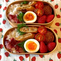 春巻き弁当|にこりこぷりんさん