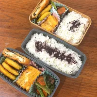2025.5.12 高3息子.旦那弁当|こうれい母さん