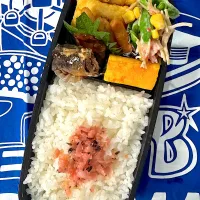 5月12日 週の始まり弁当🍱|sakuramochiさん
