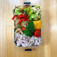 5月12日お弁当|auloraさん