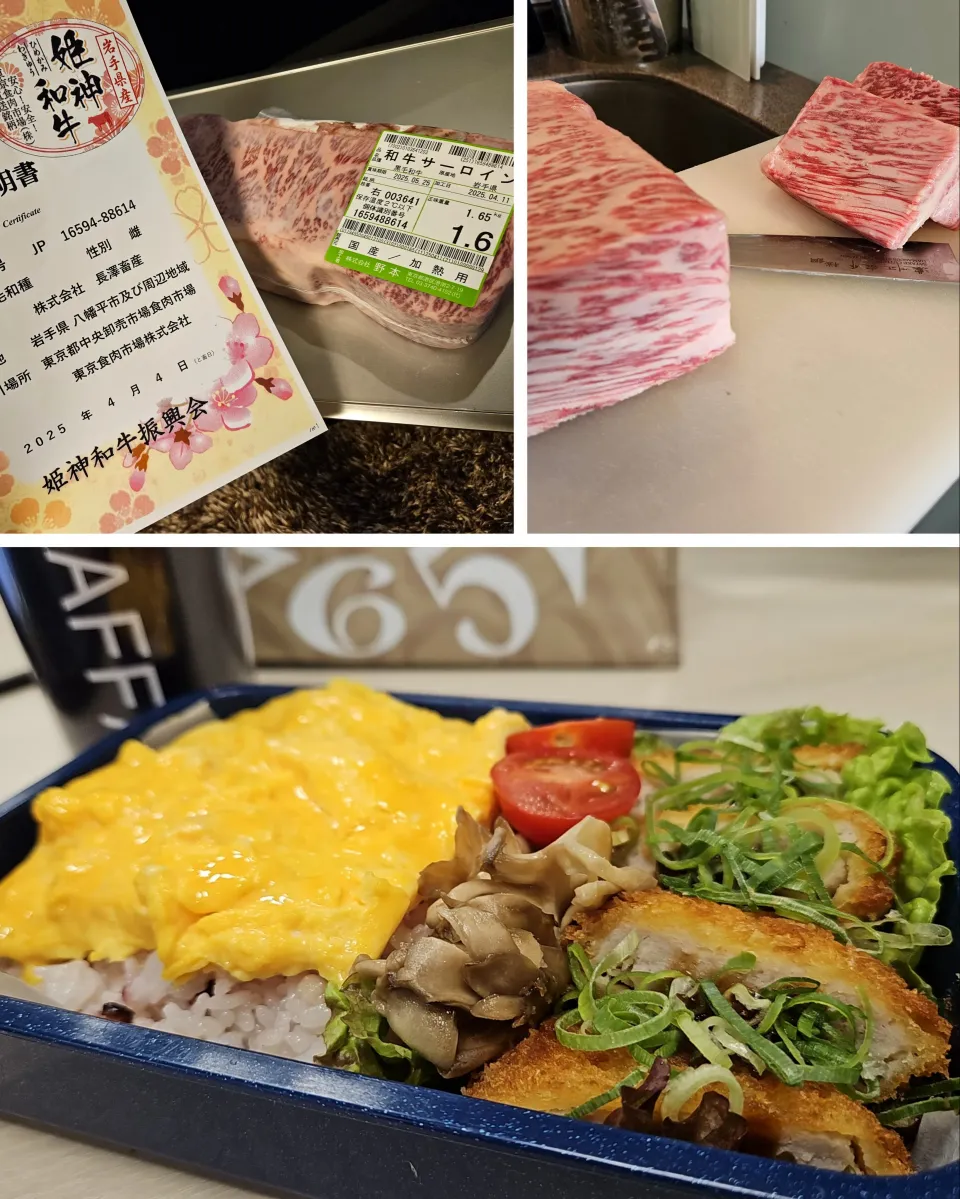 本日の手作り弁当です|motohiroさん