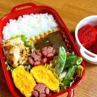 娘ちゃん弁当2025.5.12|すずまゆさん
