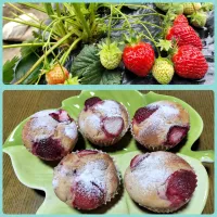 初収穫🍓苺で米粉のヨーグルトマフィン