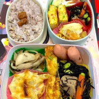 2025/5/12娘と私の弁当| なかみほさん