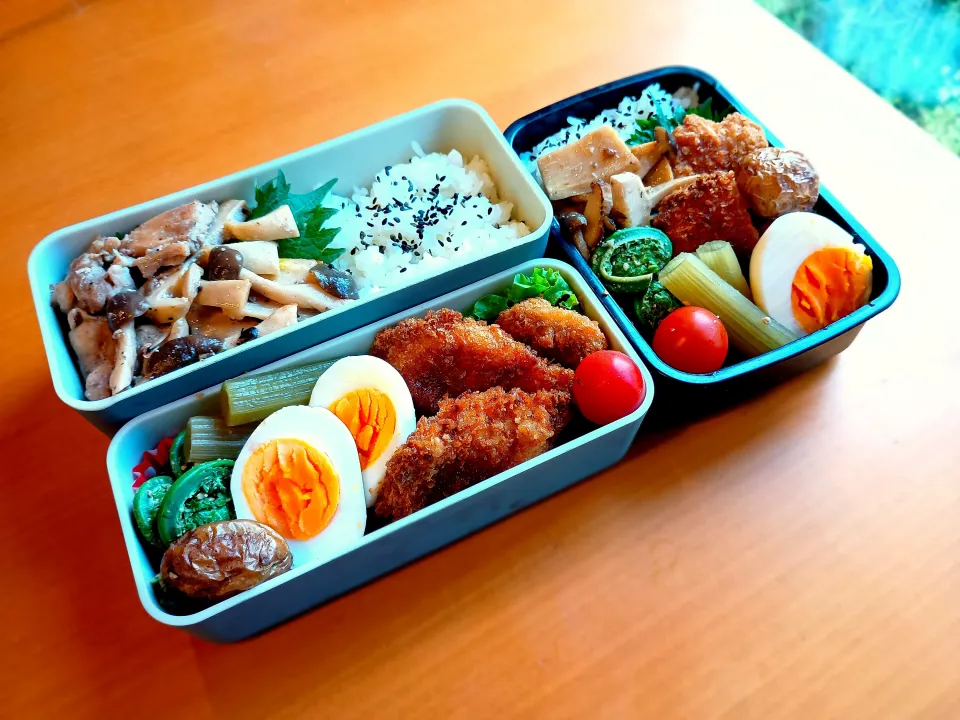 次男・私弁当|tamagomagomagoさん