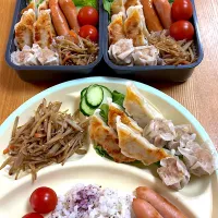 男子弁当| じゅんじゅんさん