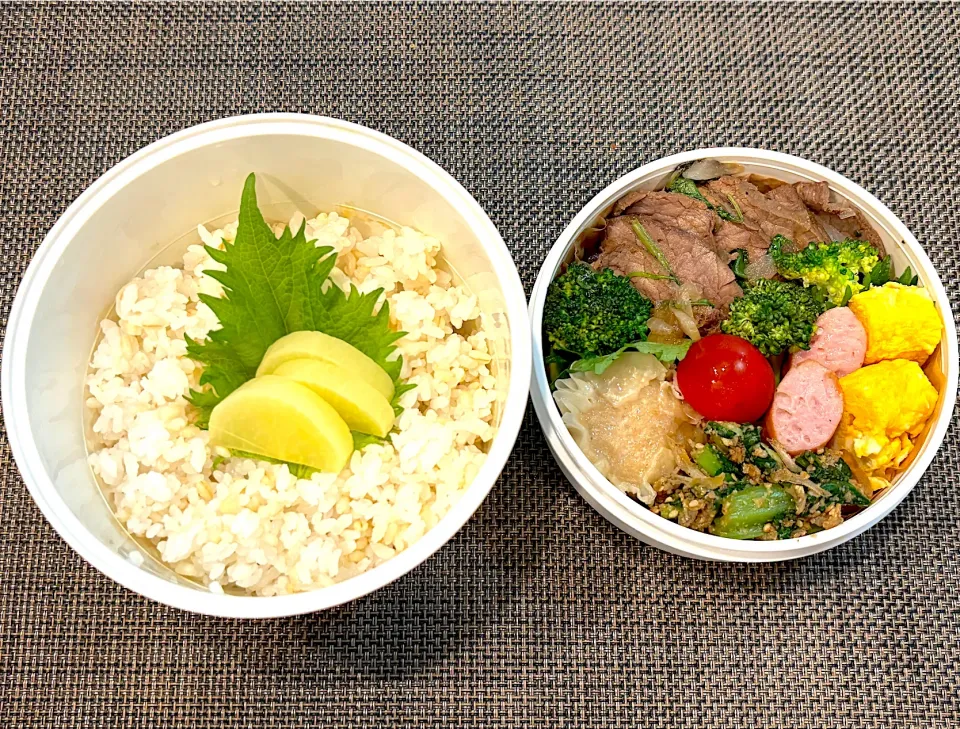 高校生息子のお弁当🍱 焼肉弁当🍱|Snow10さん