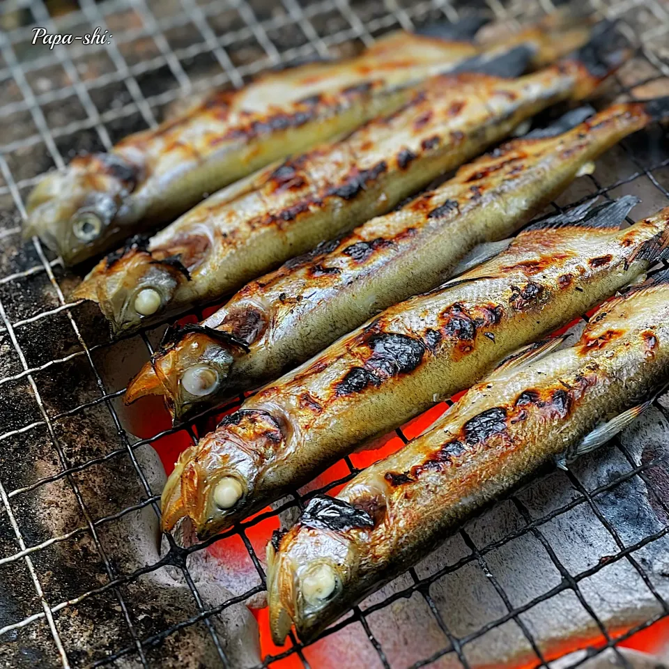 シシャモ焼き|パパ氏さん