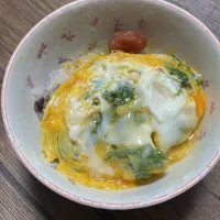 |ごはんーさん
