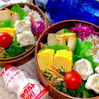今日の夫婦弁⁽⁽ ◟(灬 ˊωˋ 灬)◞ ⁾⁾💕|桃実さん