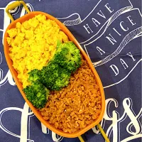 旦那様用⭐︎おかず少なめ弁当117日目。|☆ぴ〜ちゃん☆さん