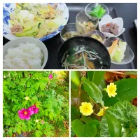 野菜🍅🌽🥒🍆🍅🌽🥒🍆🍅🌽🥒🍆🍅🌽🥒🍆炒め|justice🍎IWATE🍎さん