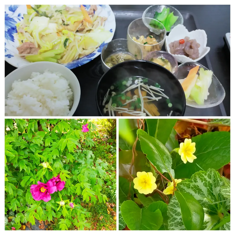 野菜🍅🌽🥒🍆🍅🌽🥒🍆🍅🌽🥒🍆🍅🌽🥒🍆炒め|justice🍎IWATE🍎さん