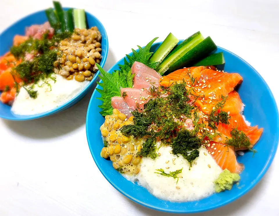 海鮮丼/サーモン、中トロ、ネギトロ、とろろ、納豆|shioshioさん