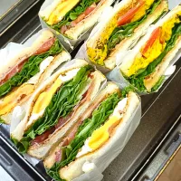 サンドウィッチお弁当|tamakiさん