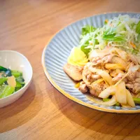 ご近所の食堂で生姜焼き定食を|Megさん