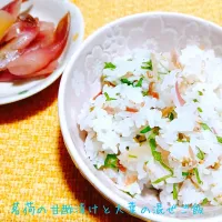 香りのご馳走♬みょうがと大葉の混ぜご飯|あんみっちゃんさん