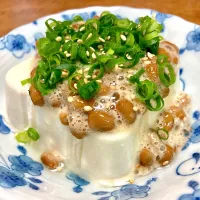 冷や奴🍀|まいりさん