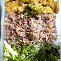 今日のお弁当|yumamaさん