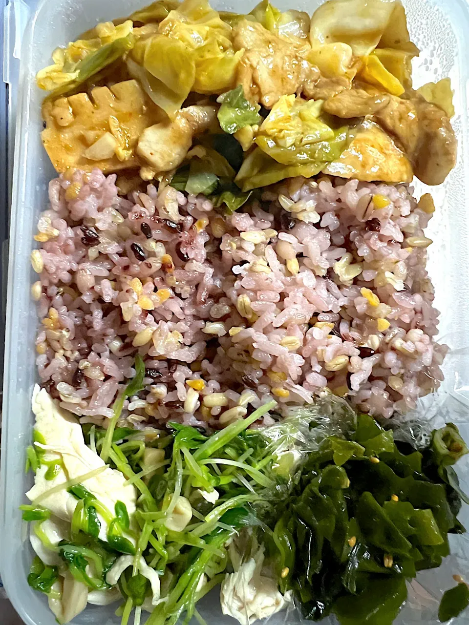 今日のお弁当|yumamaさん