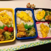 夫弁当､息子弁当､娘弁当､私弁当|みどりさん