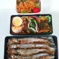 🍀2025/0514(水)ししゃも弁当|ともちんさん