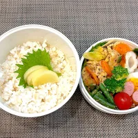 高校生息子のお弁当🍱 鶏肉のうま塩焼き弁当🍱