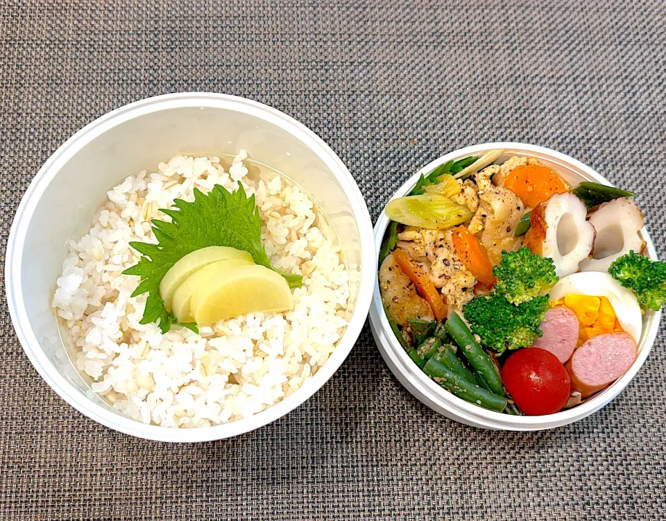 高校生息子のお弁当🍱 鶏肉のうま塩焼き弁当🍱|Snow10さん