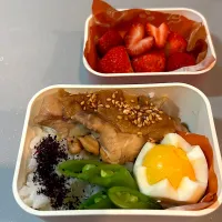 照り焼きチキン弁当|matumotommさん
