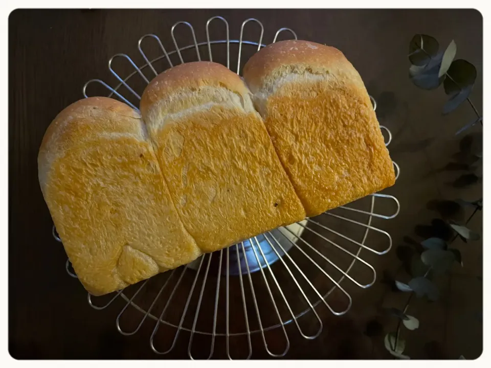 プロテイン山食🍞|yucca@さん