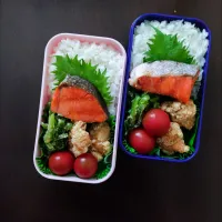 5/14ふたり弁当|YUKI_Jさん