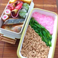 娘弁当🐟️🐔| まめころさん