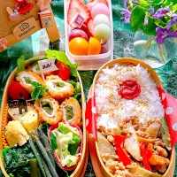 2025/05/14 山独活肉味噌炒めとピーマン肉巻きフライのお弁当|Blueberry🫐さん