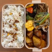 2025.5.14 次男お弁当|いじゅさん