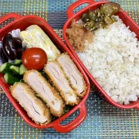 今日の旦那さんのお弁当|naoさん