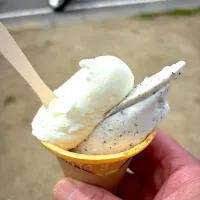 ジェラート🍨|utayataさん