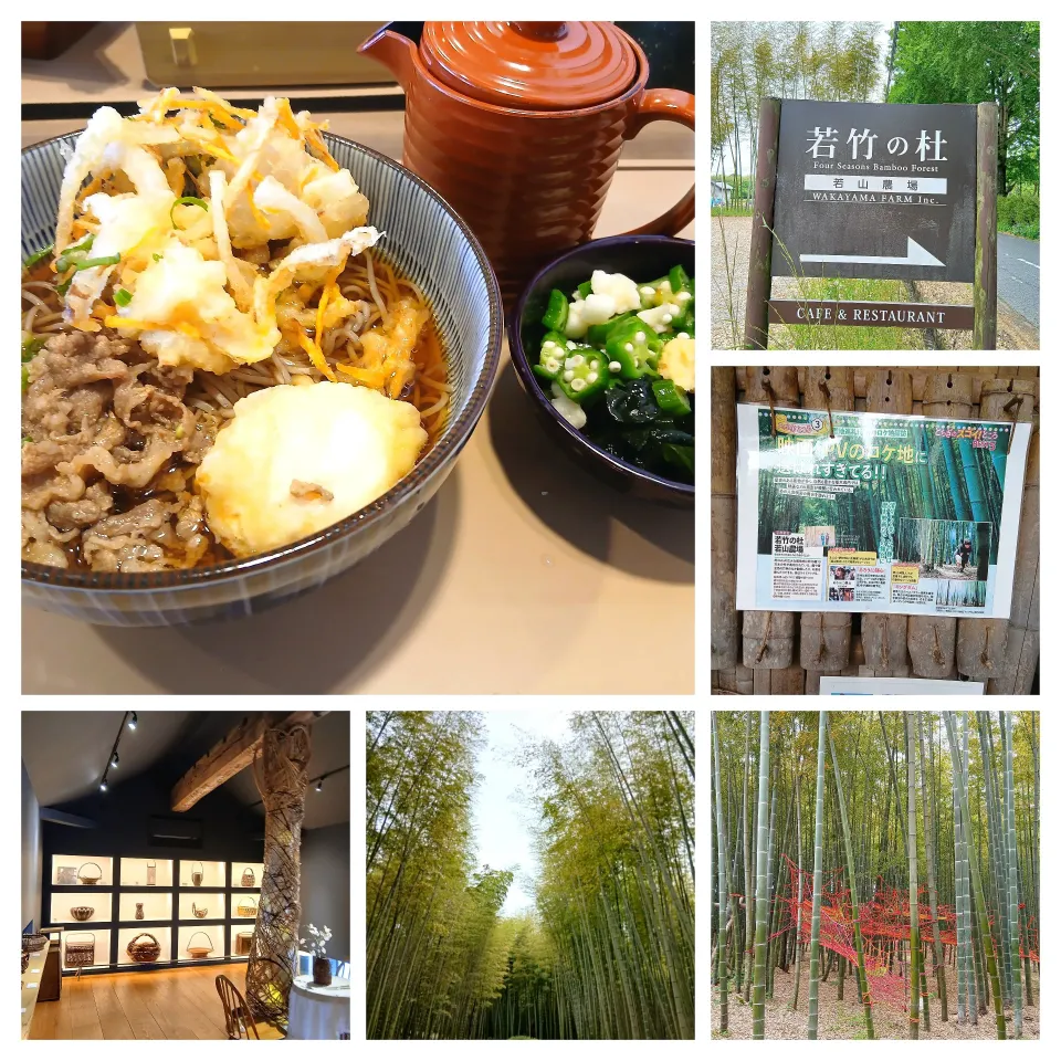 旅記録3 若竹の杜|ぽんすけさん