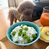 グリンピースごはん🫛|ゆかりさん