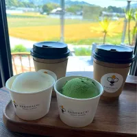 八女茶ジェラートとはちみつ紅茶🫖| ＊みお＊さん