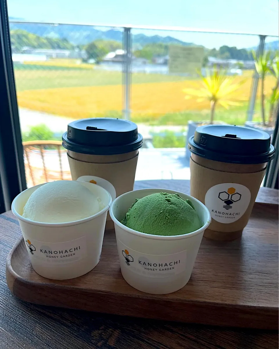 八女茶ジェラートとはちみつ紅茶🫖|＊みお＊さん