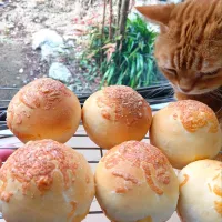 まん丸チーズパン焼けました🧀|さくらんぼさん