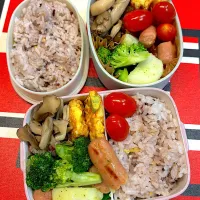 2025/5/14娘と私の弁当|なかみほさん