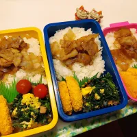 夫弁当､息子弁当､私弁当|みどりさん