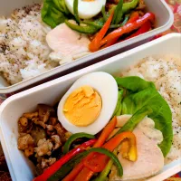 ガパオお弁当|Mayayaさん