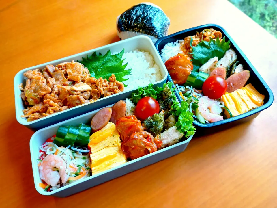 次男・私弁当&おにぎり|tamagomagomagoさん